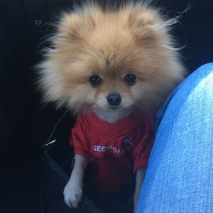 Meet your Posher, Tara